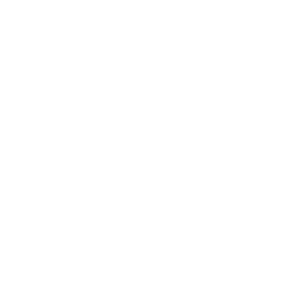 Terra